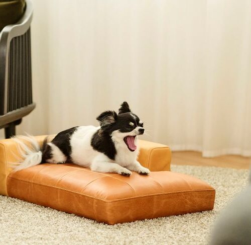 NICQQT POPUP GALLERY @KOKOROISHI東京