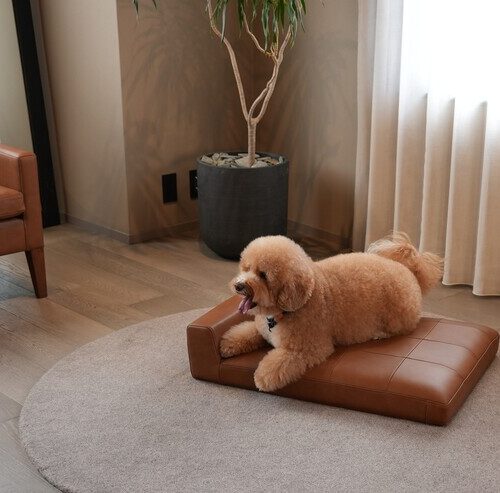 【UPCYCLE SOFA】KOKOROISHI×NICQQT