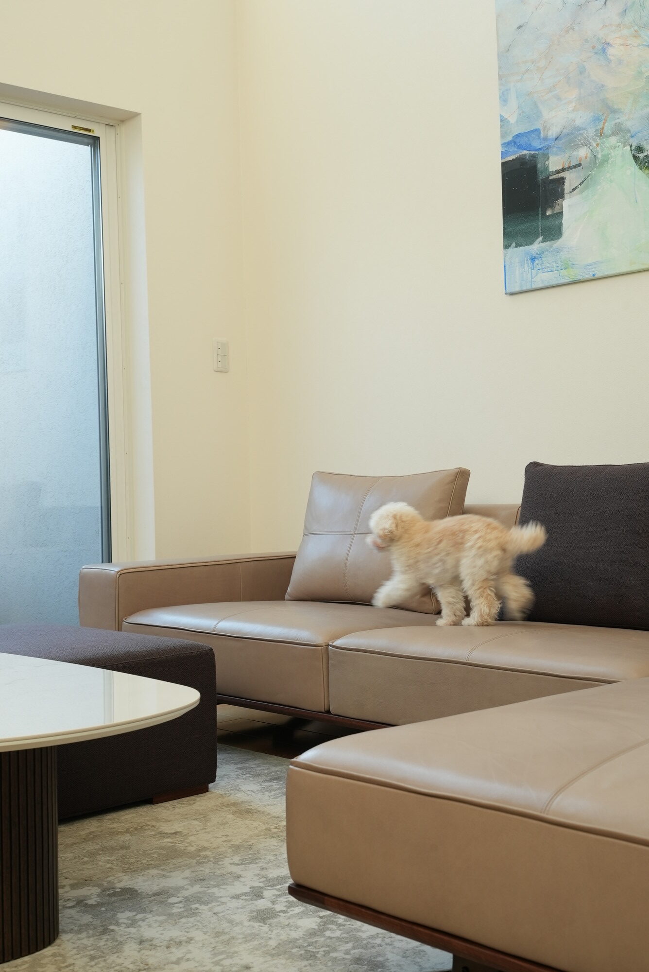 吹き抜けのある家IBUKI