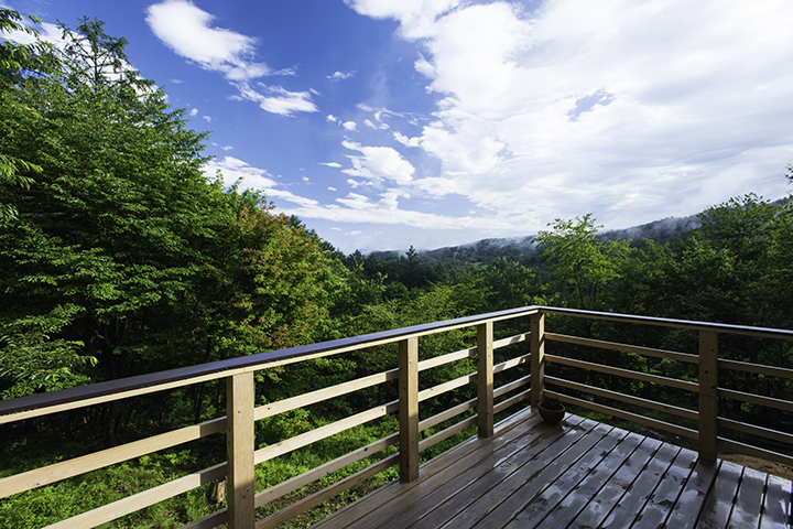 長野県上田市_在宅ワーク_猫と田舎暮らし_ＢＡＳＥ（ベイス）_ＺＥＮＷＯＯＤ（ゼンウッド）