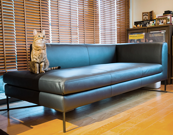 PARASSO(パラッソ)猫と暮らす、ブラックのカウチソファ