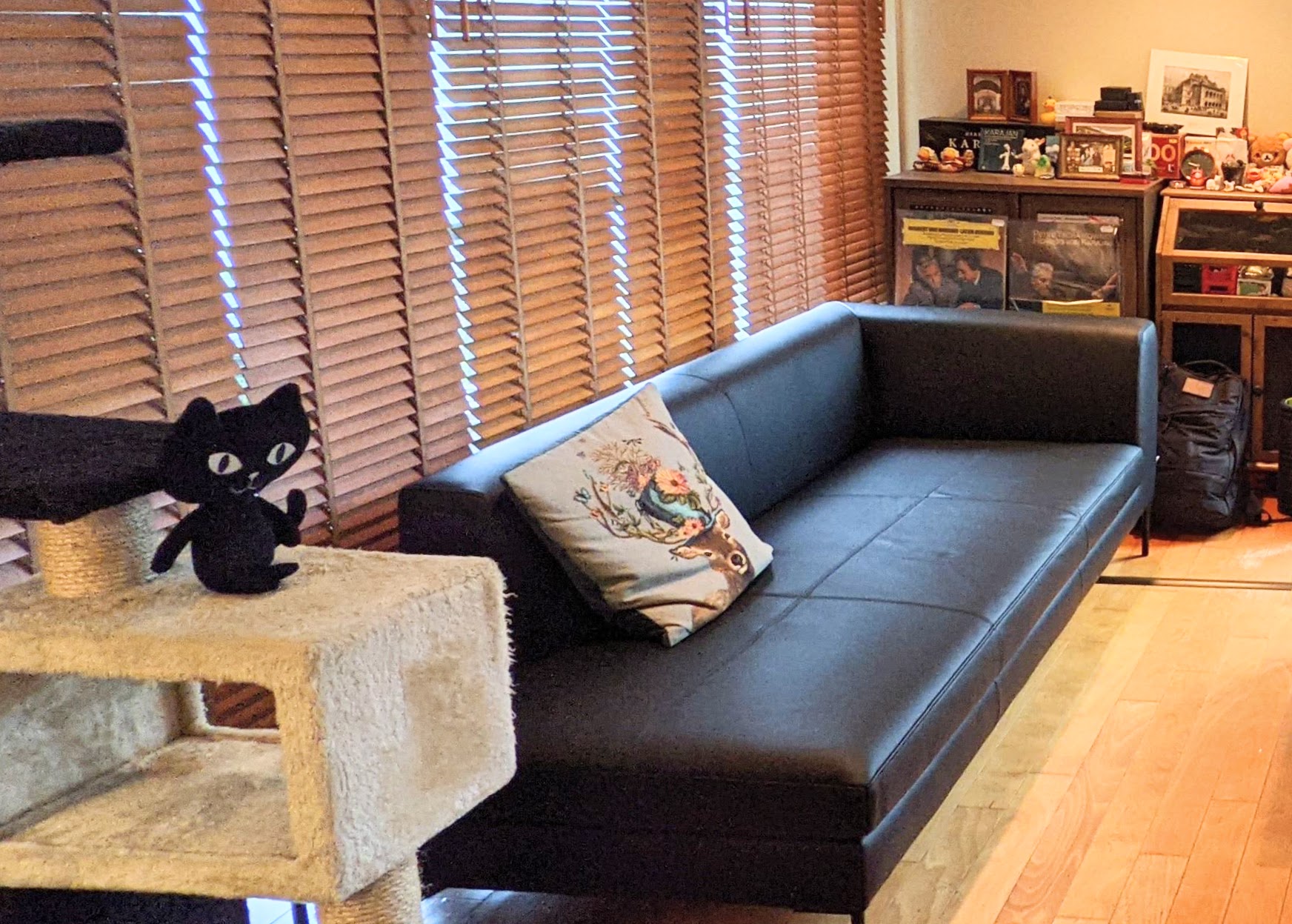 PARASSO(パラッソ)猫と暮らす、ブラックのカウチソファ